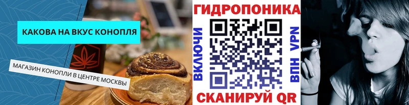Canna-Cookies марихуана  OMG зеркало  Отрадное 