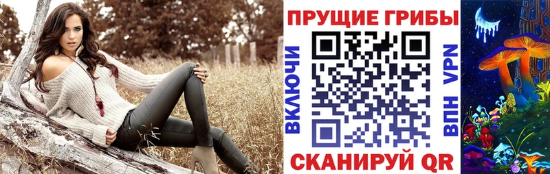 что такое наркотик  Отрадное  Псилоцибиновые грибы ЛСД 