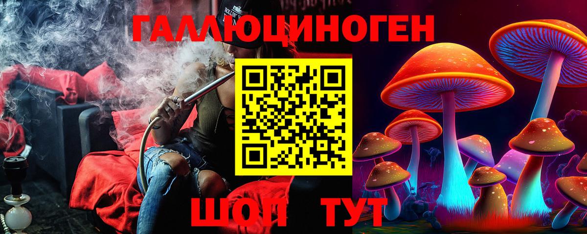 Псилоцибиновые грибы Psilocybine cubensis Отрадное